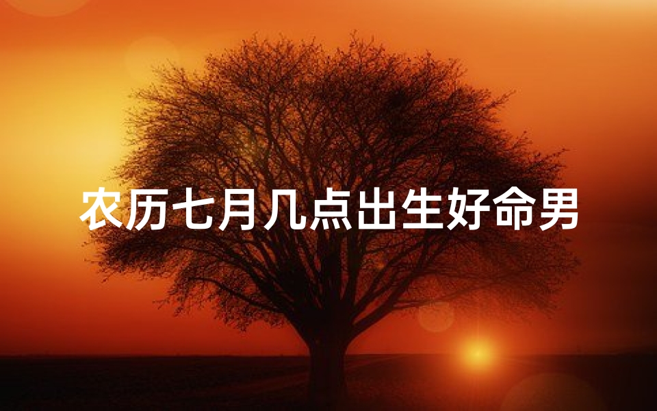 农历七月几点出生好命男_农历7月出生的男孩好吗