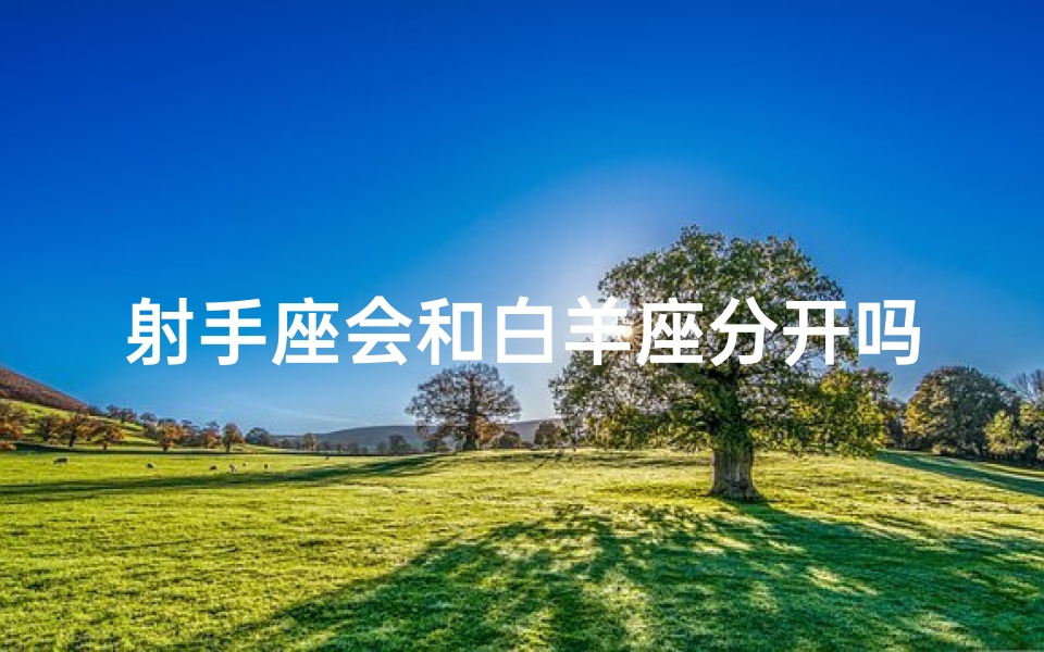 射手座会和白羊座分开吗,射手座与白羊情路坎坷：分手在即？