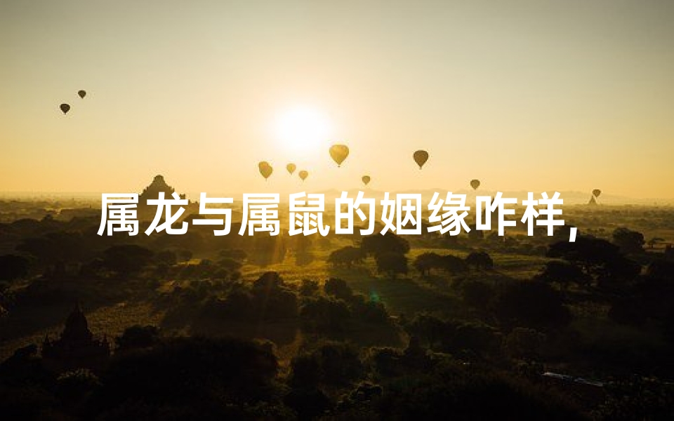 属龙与属鼠的姻缘咋样,龙鼠缘：生肖配对，姻缘如何？