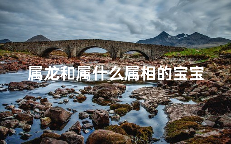 属龙和属什么属相的宝宝
