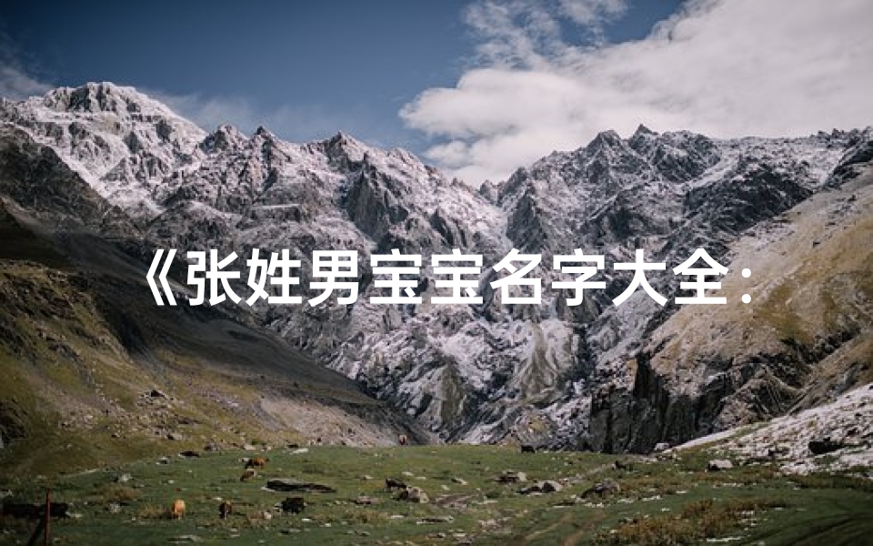 《张姓男宝宝名字大全：精选寓意美好的名字推荐》