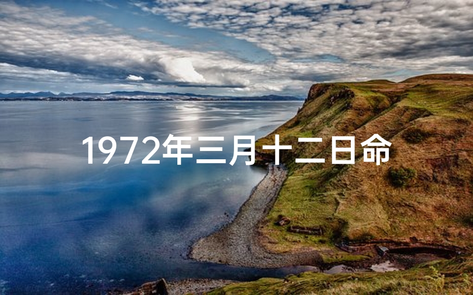 1972年三月十二日命格-1972年3月12日命格：揭秘生命密码