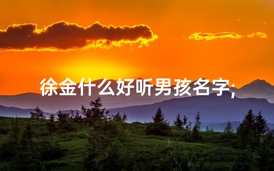 徐金什么好听男孩名字;徐金悦：闪耀金辉，悦享人生的女宝宝名字