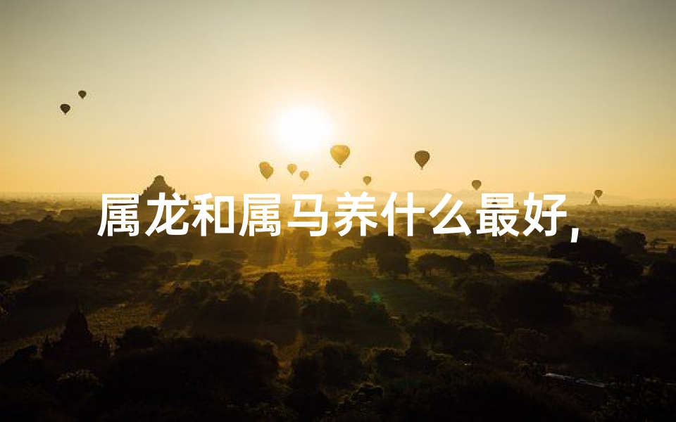 属龙和属马养什么最好,属龙和属马养什么最好呢