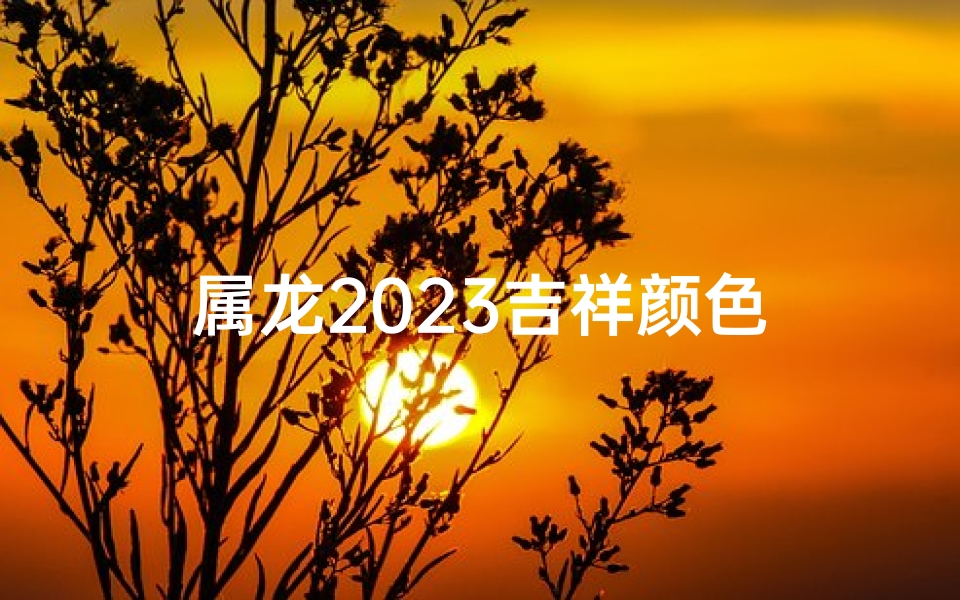 属龙2023吉祥颜色