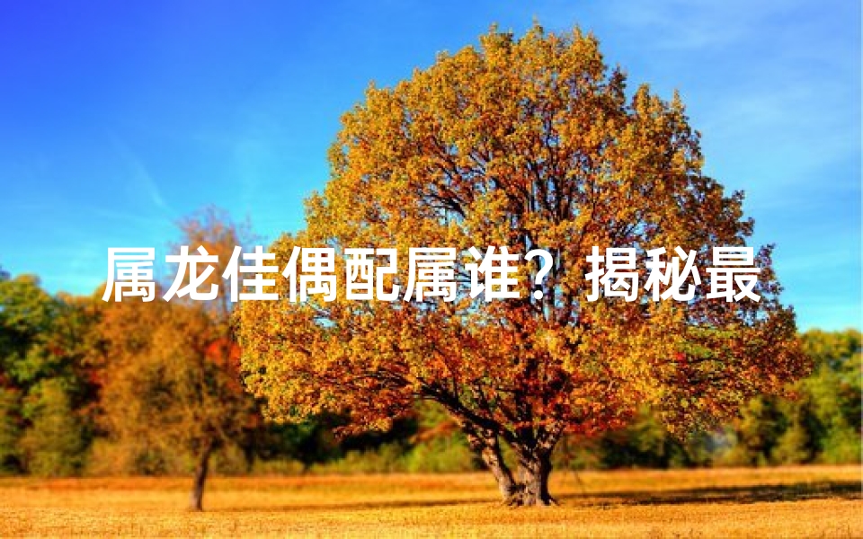 属龙佳偶配属谁？揭秘最佳婚配属相