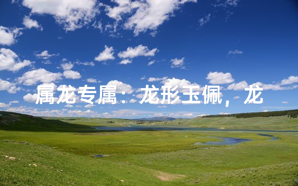 属龙专属：龙形玉佩，龙气相随