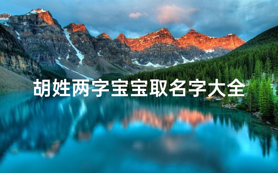 胡姓两字宝宝取名字大全—《胡姓两字宝宝取名大全：精选美名汇聚》