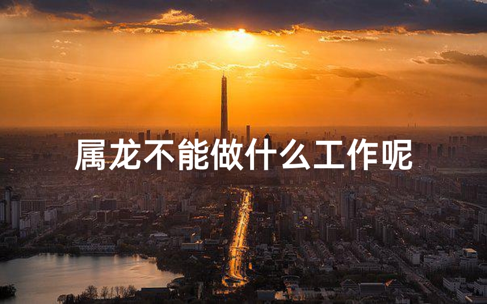 属龙不能做什么工作呢
