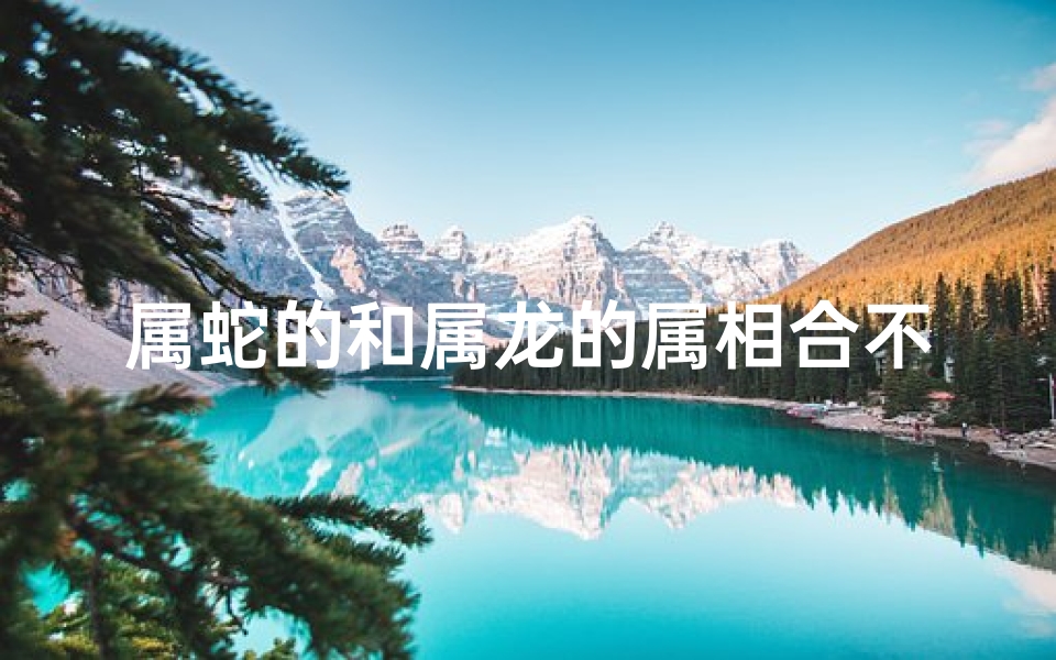 属蛇的和属龙的属相合不合-属蛇属龙缘何结缘：不解之缘探秘