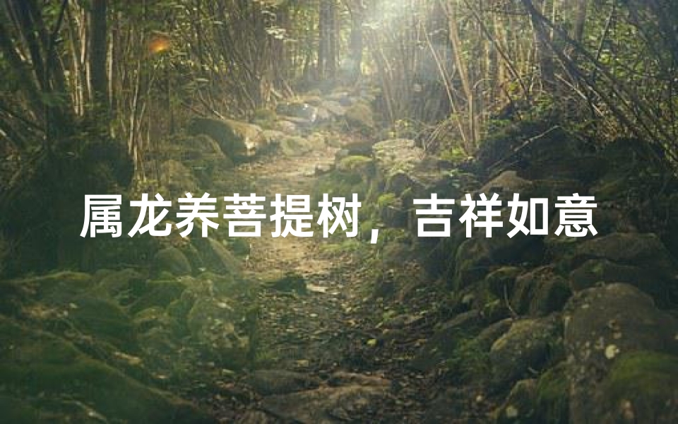 属龙养菩提树，吉祥如意好运来