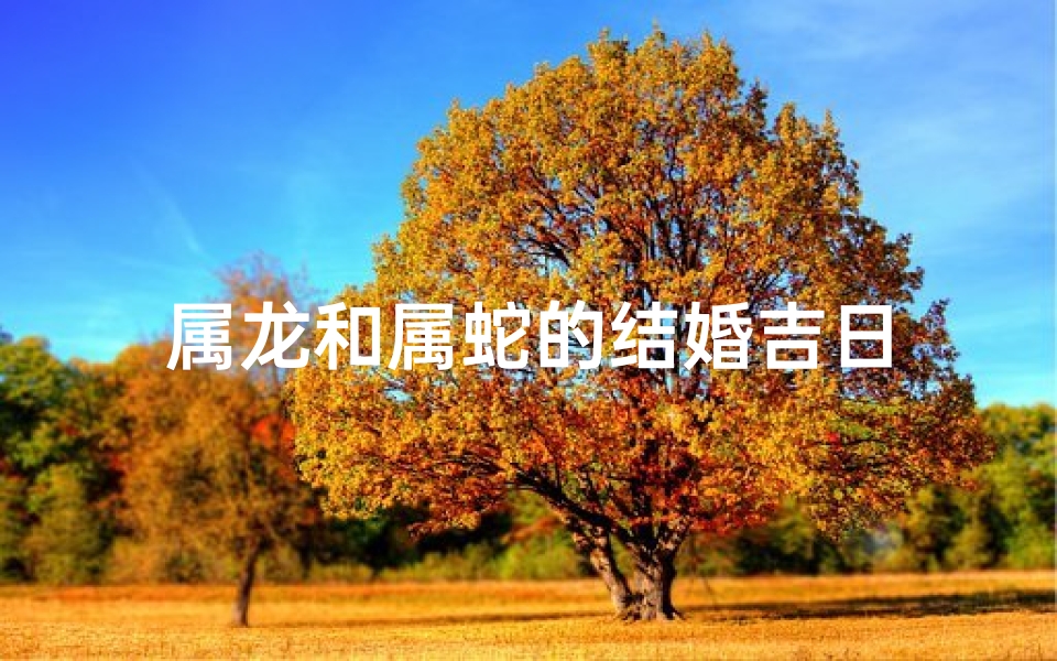 属龙和属蛇的结婚吉日