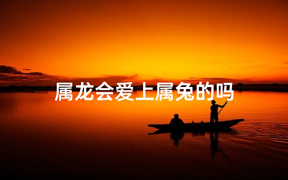 属龙会爱上属兔的吗