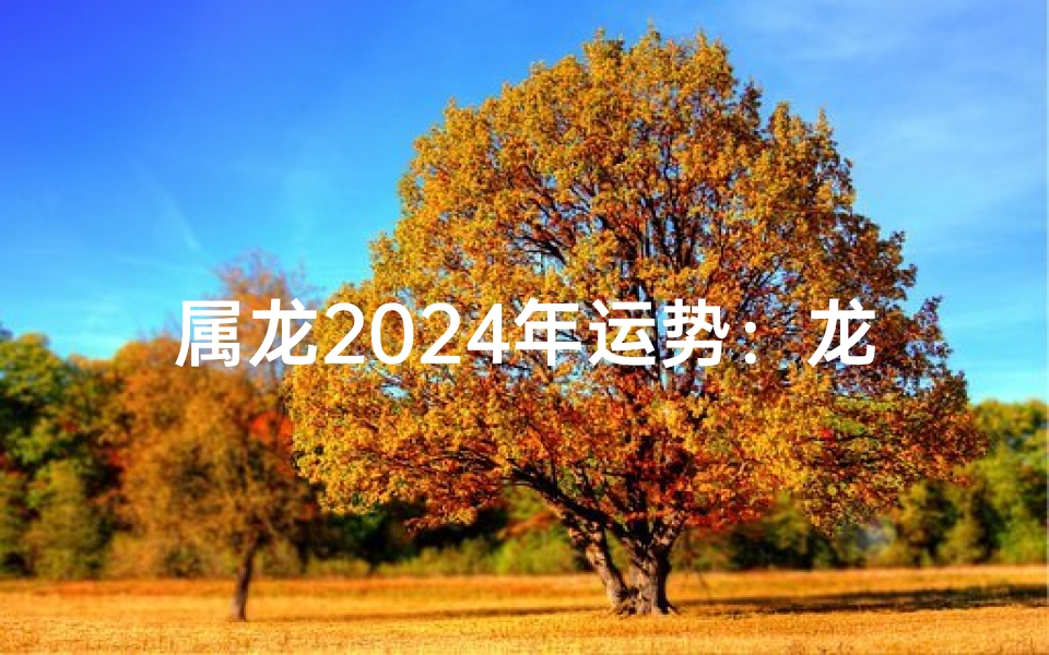 属龙2024年运势：龙年幸运色揭秘