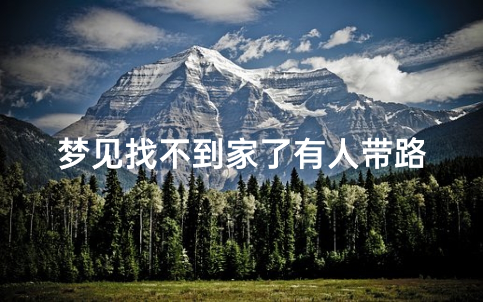 梦见找不到家了有人带路;梦见找不到家了有人带路走了