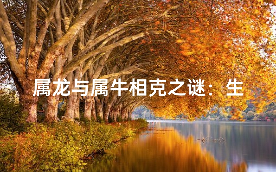 属龙与属牛相克之谜：生肖相冲真相揭晓