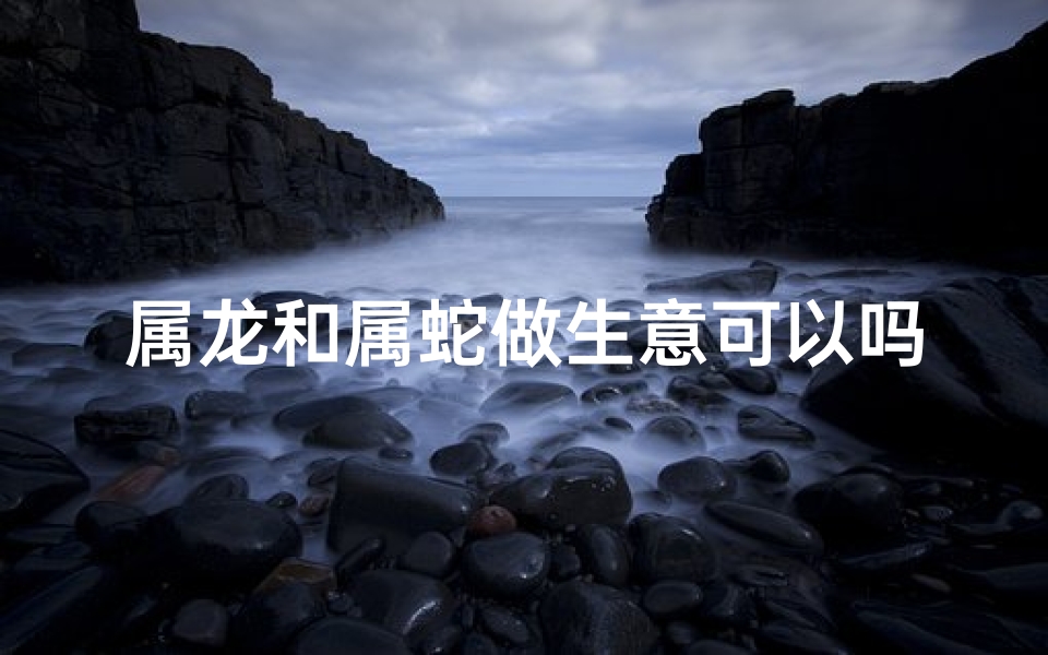 属龙和属蛇做生意可以吗、属龙属蛇能否携手共赢：生意合作新篇章