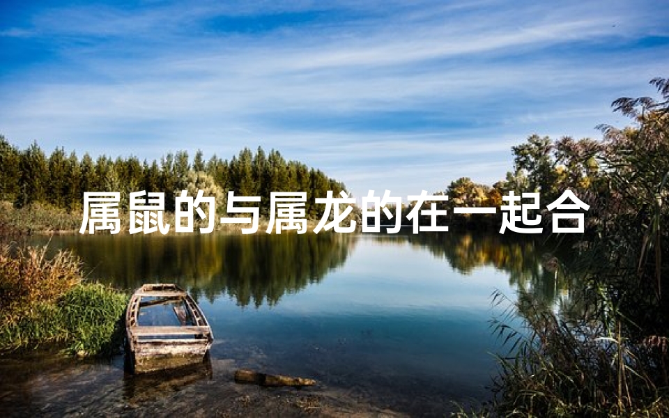 属鼠的与属龙的在一起合适吗-属鼠属龙情谊长，龙腾鼠跃共前行