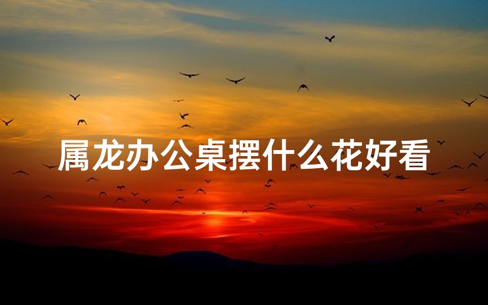 属龙办公桌摆什么花好看—属龙办公桌摆什么花最旺财运？