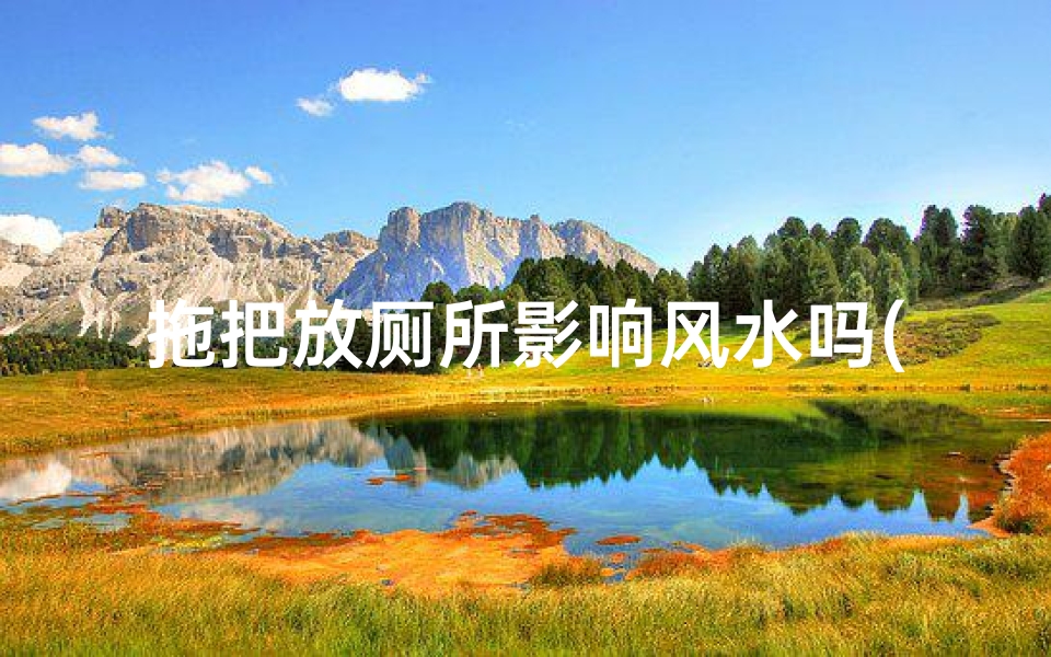 拖把放厕所影响风水吗(拖把放卫生间容易有味怎么办)