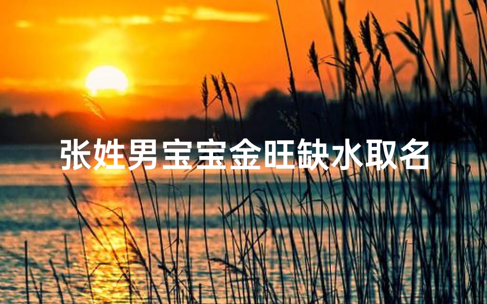 张姓男宝宝金旺缺水取名字;张姓男宝宝金旺缺水，吉祥如意的名字推荐