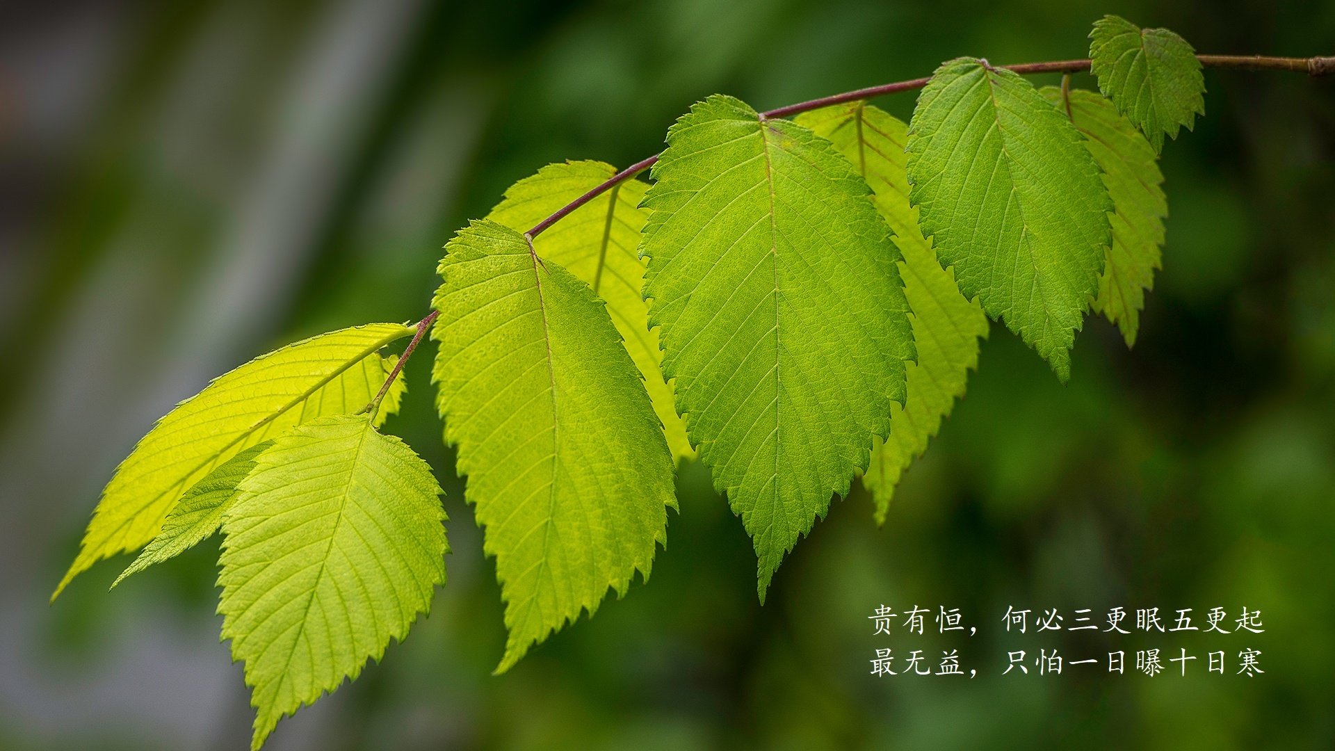 在线生辰八字测婚姻：揭开婚姻运势的神秘面纱