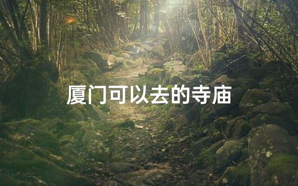 厦门可以去的寺庙