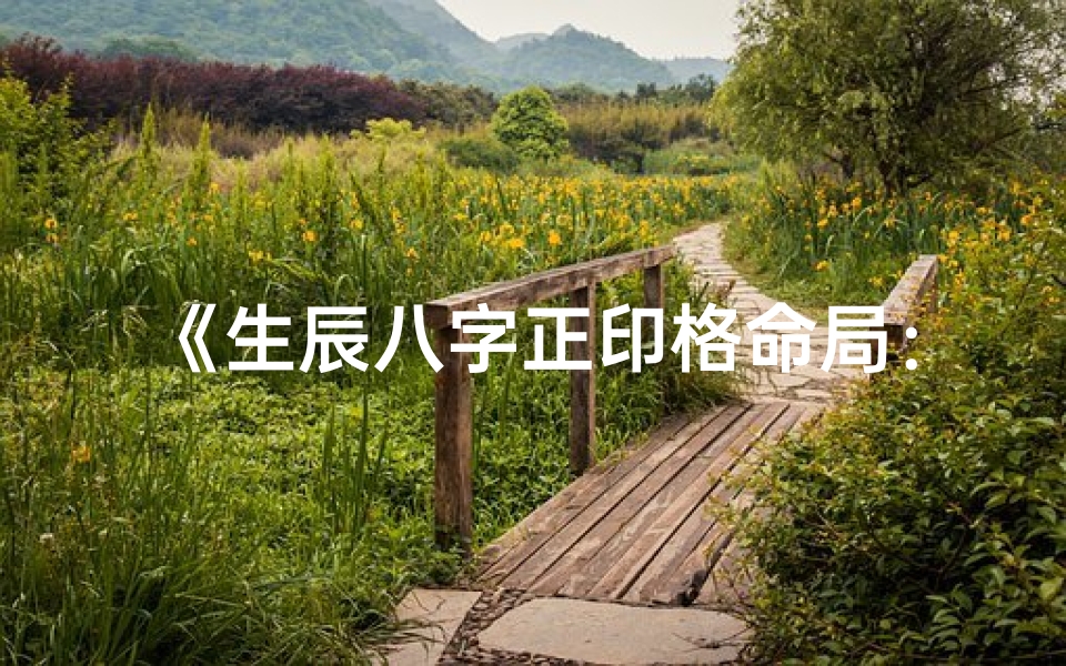 《生辰八字正印格命局：揭秘命运奥秘》