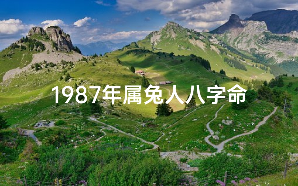 1987年属兔人八字命硬解析：命运之谜揭晓