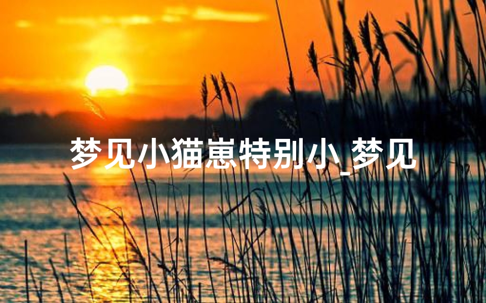 梦见小猫崽特别小_梦见小猫幼崽
