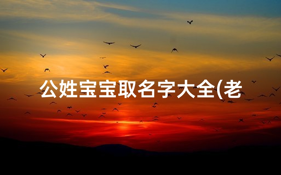 公姓宝宝取名字大全(老公姓李我姓汪怎么取名字)