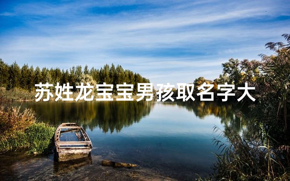 苏姓龙宝宝男孩取名字大全(属龙苏姓取男孩名字)