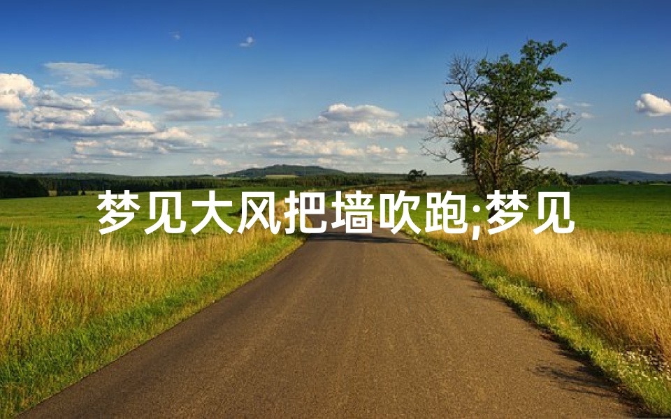 梦见大风把墙吹跑;梦见墙被大风吹倒