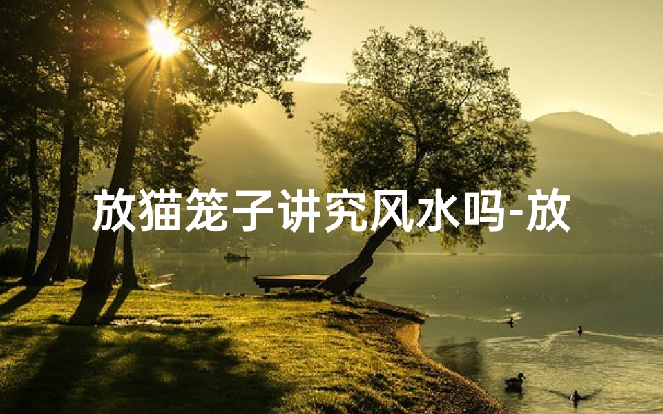 放猫笼子讲究风水吗-放猫笼风水讲究：如何布局招财旺运？