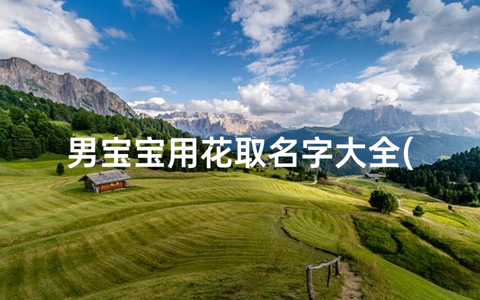 男宝宝用花取名字大全(姓花的男孩名字大全)