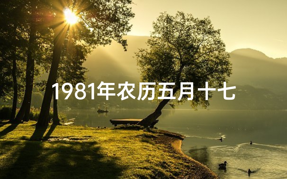 1981年农历五月十七是什么命、《1981年农历五月十八命格：揭秘命运之谜》