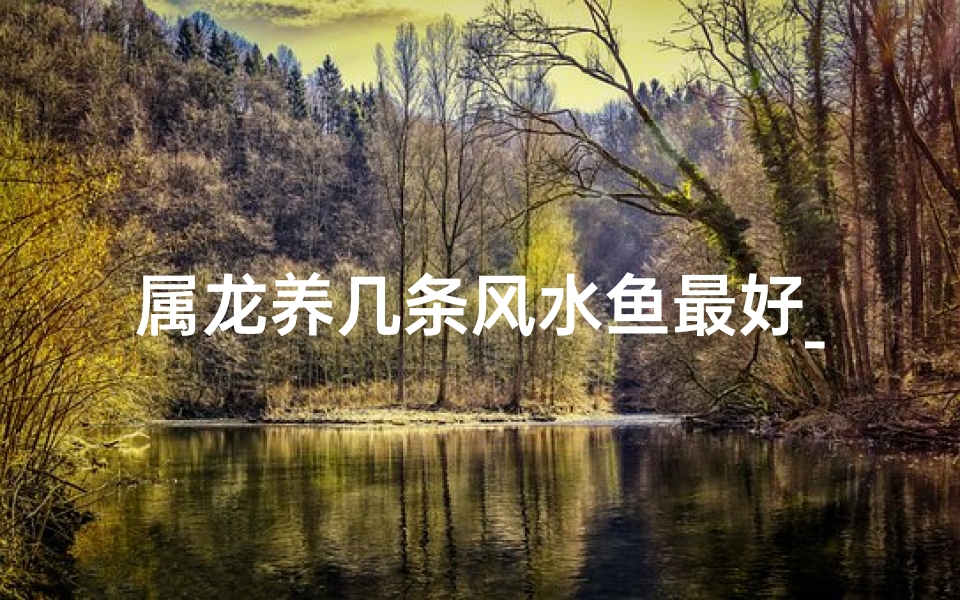属龙养几条风水鱼最好_属龙养四鱼，吉星高照好运来