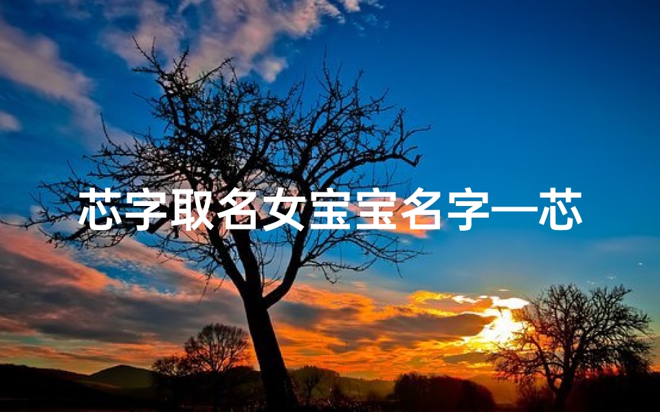 芯字取名女宝宝名字—芯字起名女孩名字