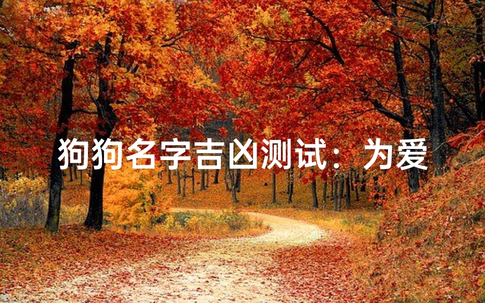 狗狗名字吉凶测试：为爱宠挑选吉祥好名