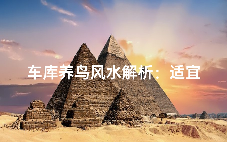 车库养鸟风水解析：适宜与否风水奥秘揭晓