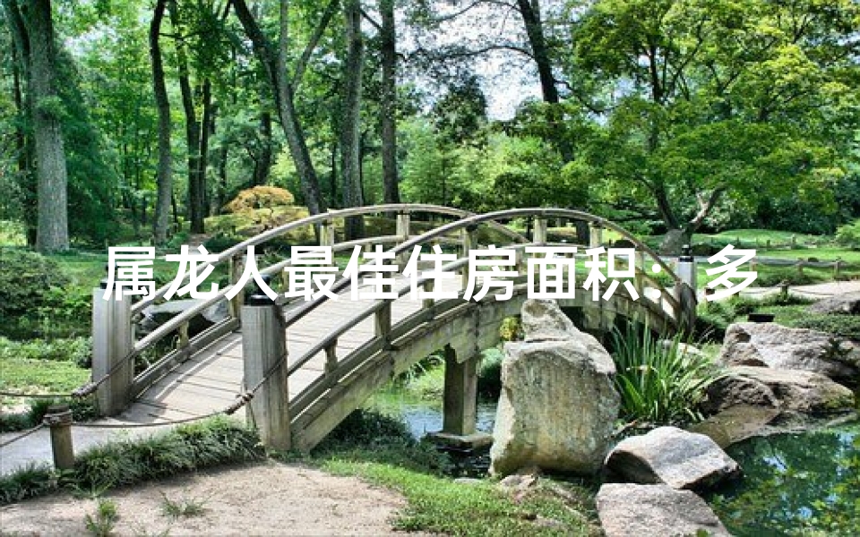 属龙人最佳住房面积：多大最适宜？