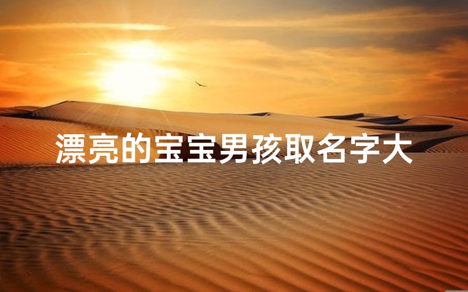 漂亮的宝宝男孩取名字大全,《精选宝宝男孩名字大全：美丽宝贝，智慧成长》