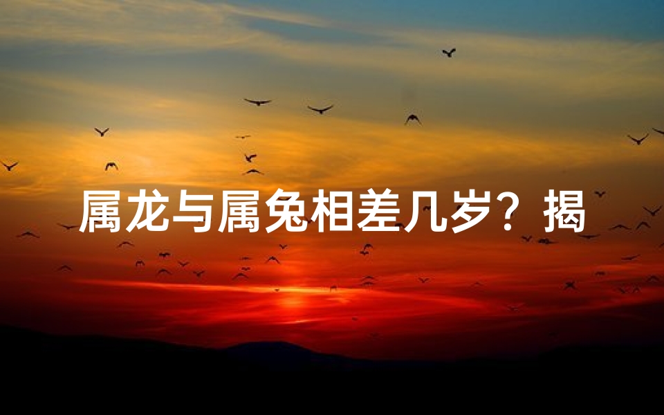 属龙与属兔相差几岁？揭秘年龄差距之谜