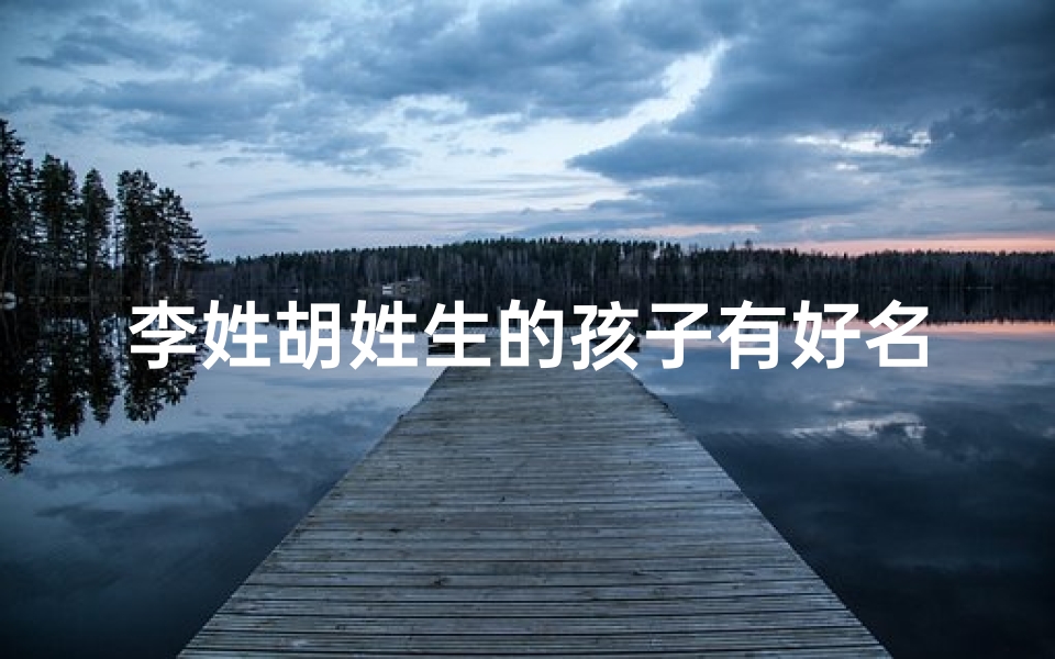 李姓胡姓生的孩子有好名字;《李姓胡宝宝取名大全：精选创意美名》