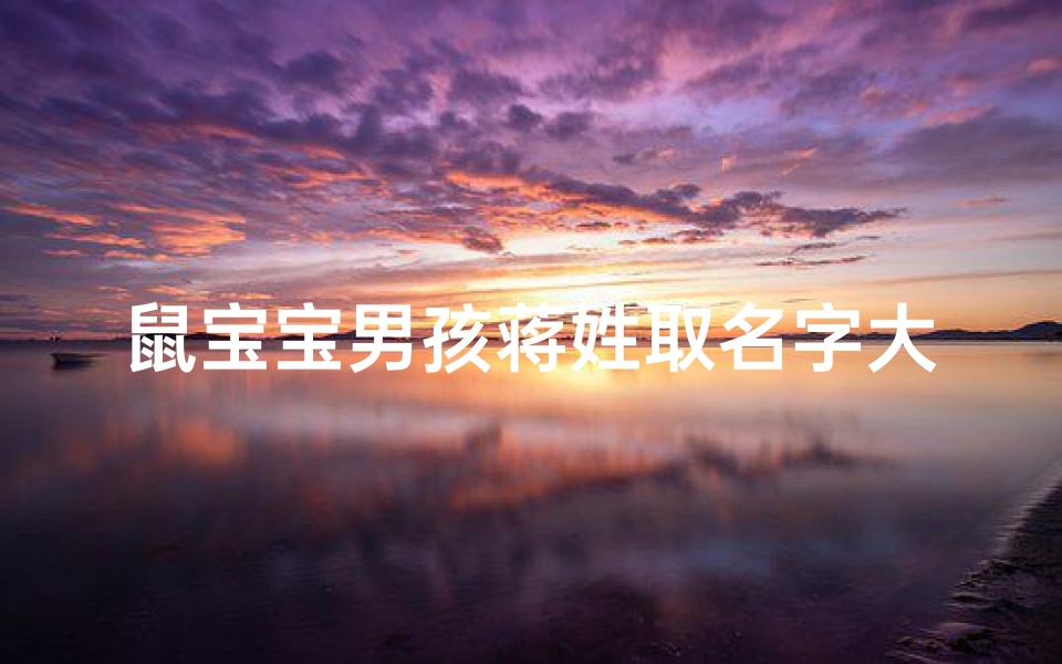 鼠宝宝男孩蒋姓取名字大全、《蒋姓鼠宝宝男孩精选名字大全》
