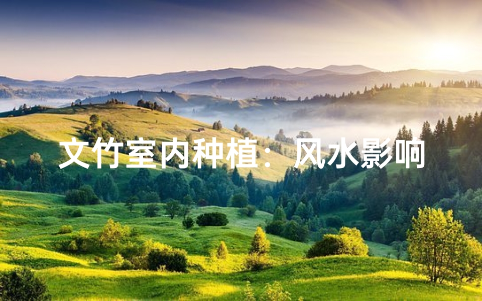 文竹室内种植：风水影响揭秘