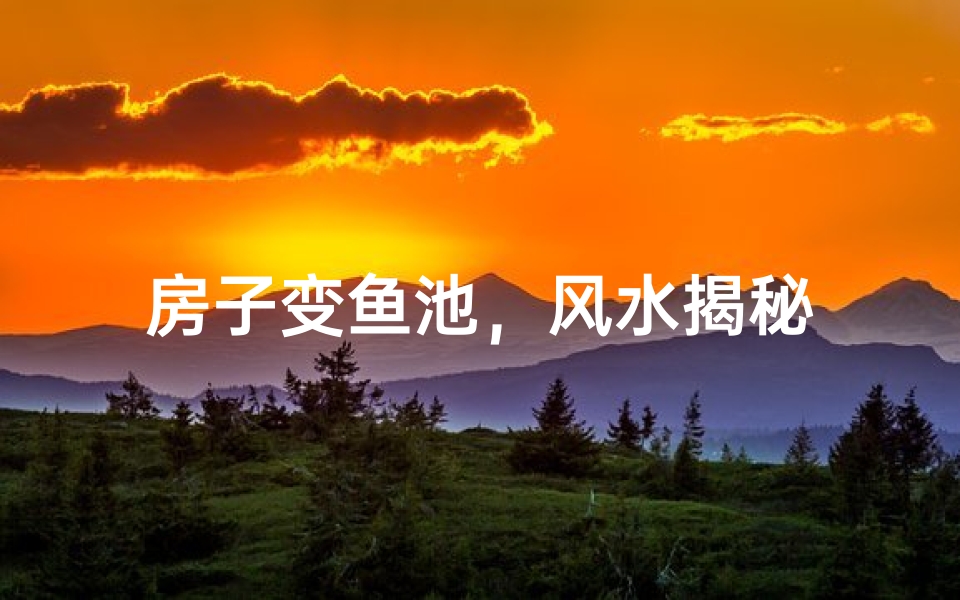 房子变鱼池，风水揭秘