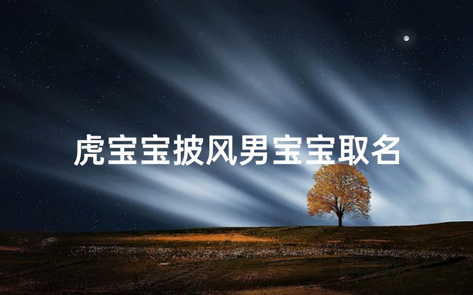 虎宝宝披风男宝宝取名