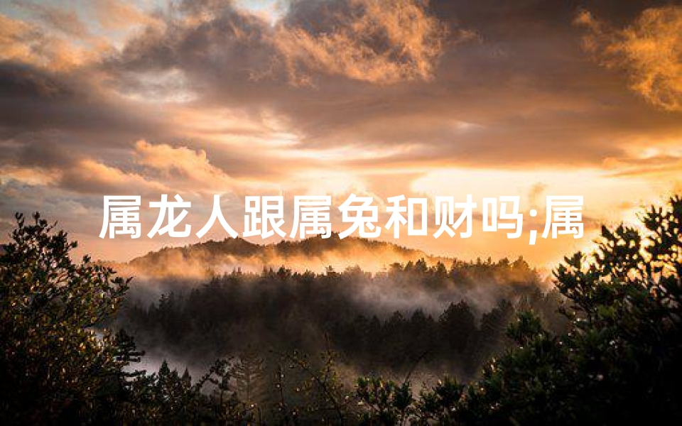 属龙人跟属兔和财吗;属龙和属兔合财吗