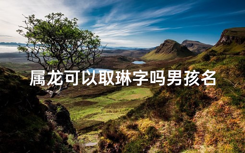 属龙可以取琳字吗男孩名(属龙男孩取琳字，寓意美好，名字大揭秘)